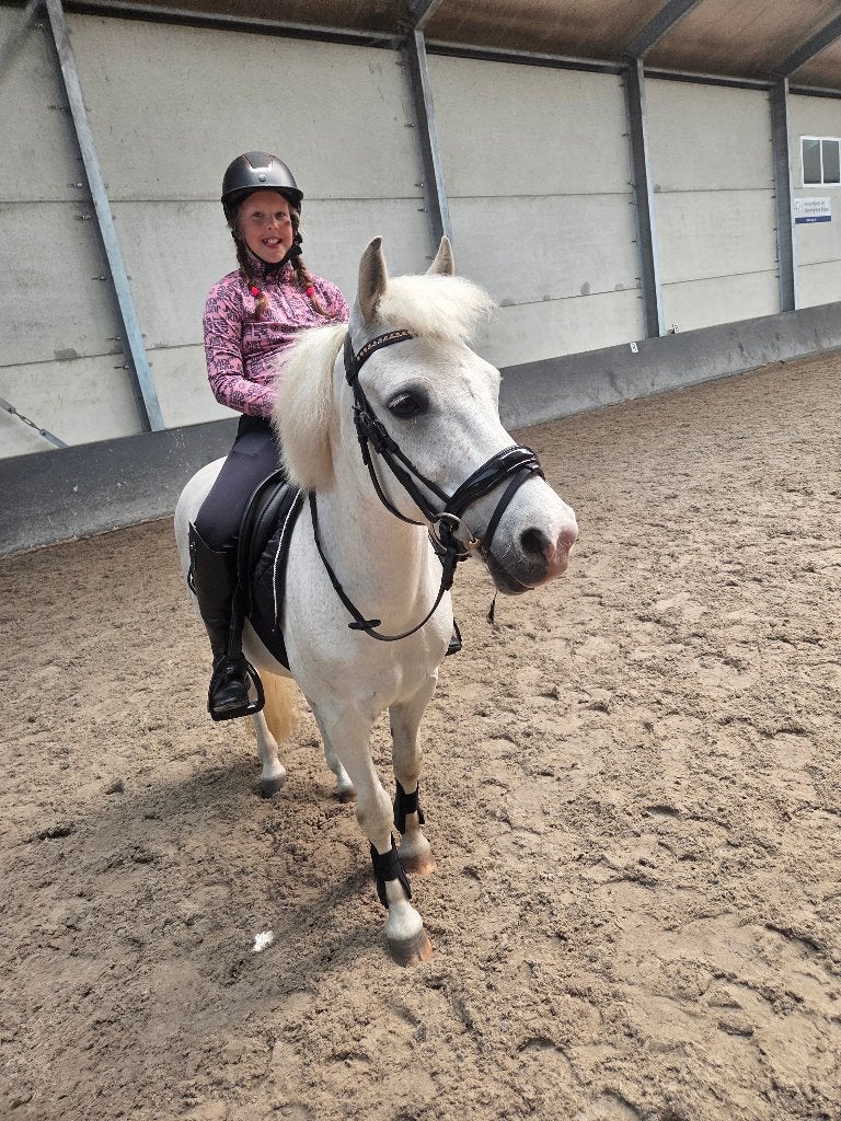 Brave allround C pony, Dieren en Toebehoren, Pony's, Ruin, L, C pony (1.27m tot 1.37m), Recreatiepony, 11 jaar of ouder, Met stamboom