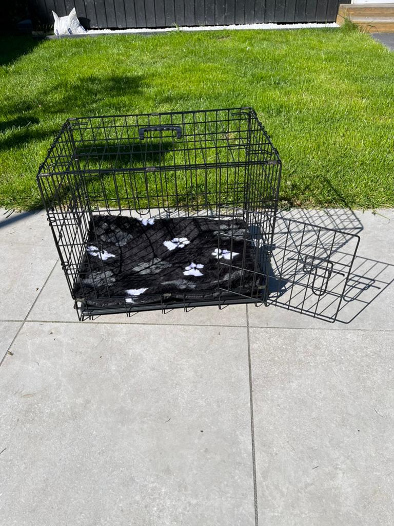 Honden bench, Ophalen, Zo goed als nieuw