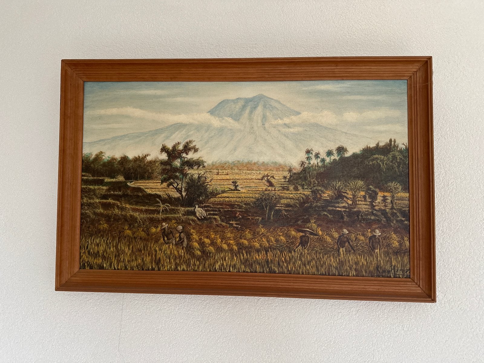 Schilderij rijstvelden met vulkaan en boeren, Ophalen, Doek, Realistisch, Landschap