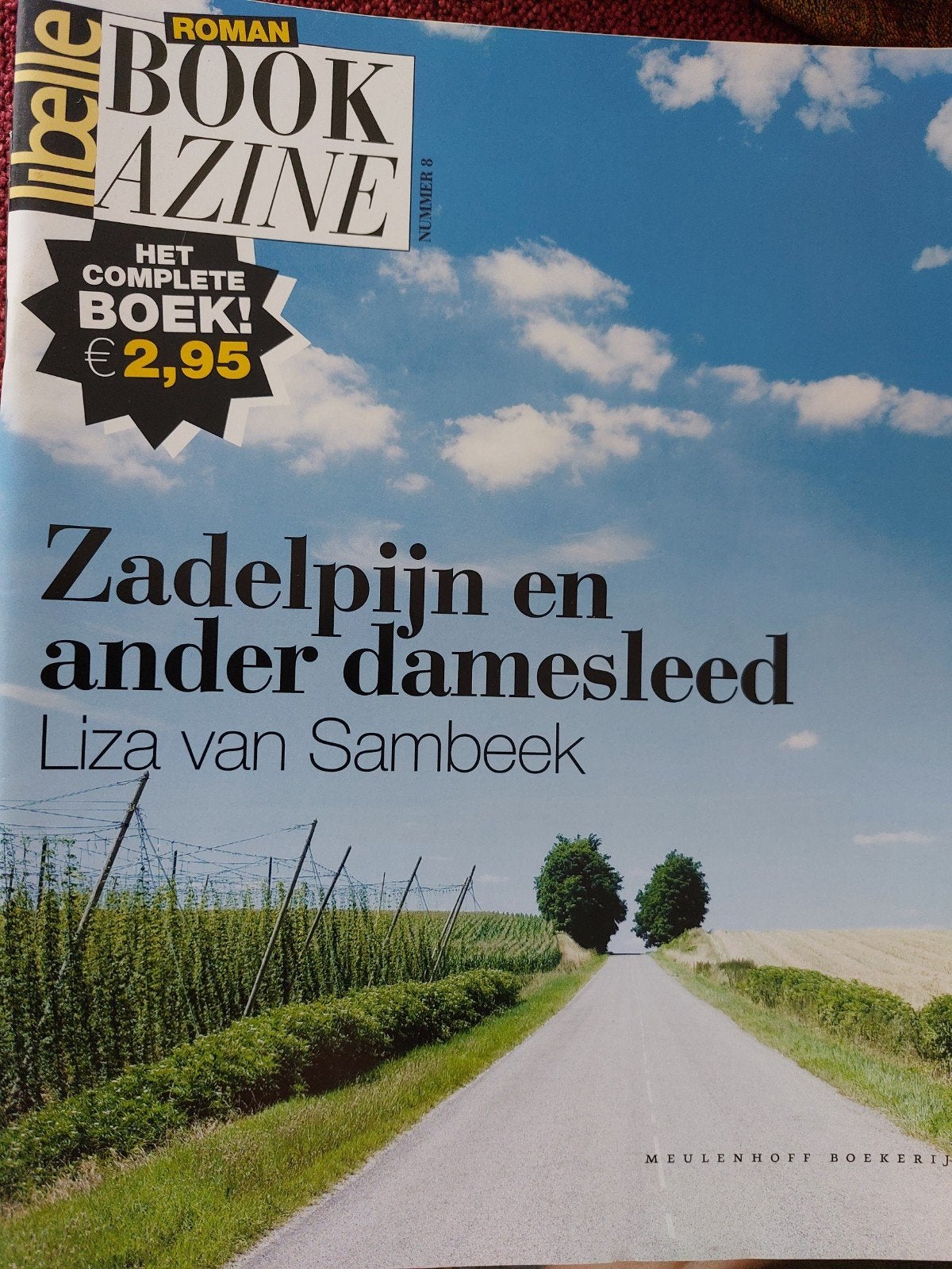 Zadelpijn en ander damesleed - Liza van Sambeek, Boeken, Ophalen of Verzenden, Gelezen