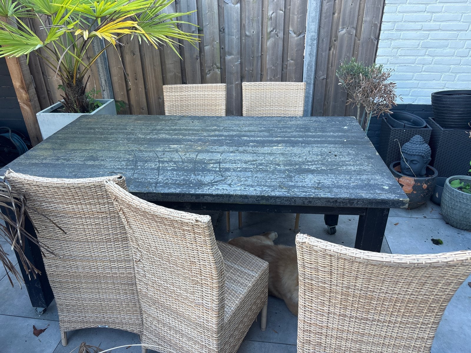 Buiten tafel op wielen 180x100x80 cm, Ophalen of Verzenden, Gebruikt, Rechthoekig, Hout