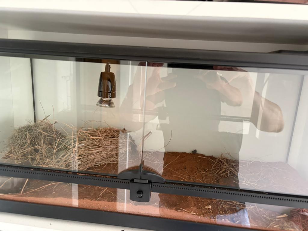 2 x terrarium repto terra, Dieren en Toebehoren, Ophalen of Verzenden, Zo goed als nieuw