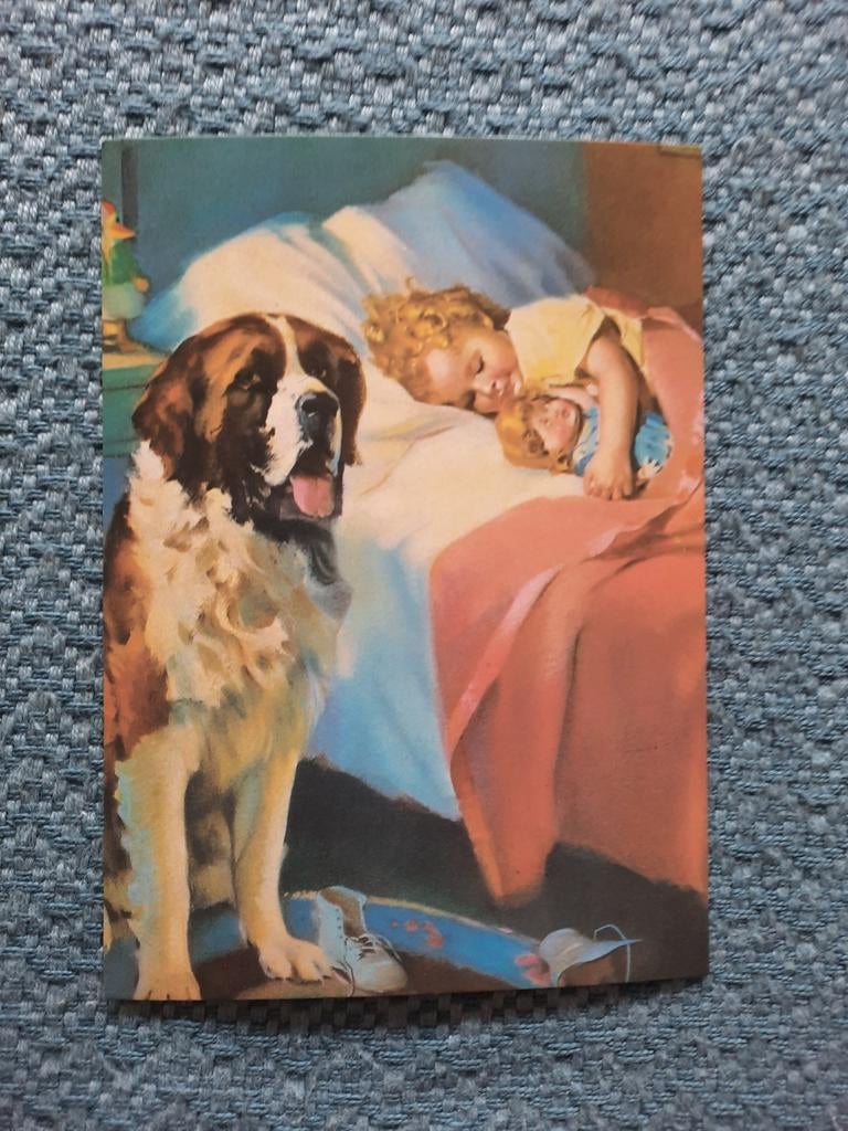 Ongelopen ansichtkaart in nieuwstaat - Sint Bernard en kind, Ophalen of Verzenden, 1980 tot heden, Hond of Kat