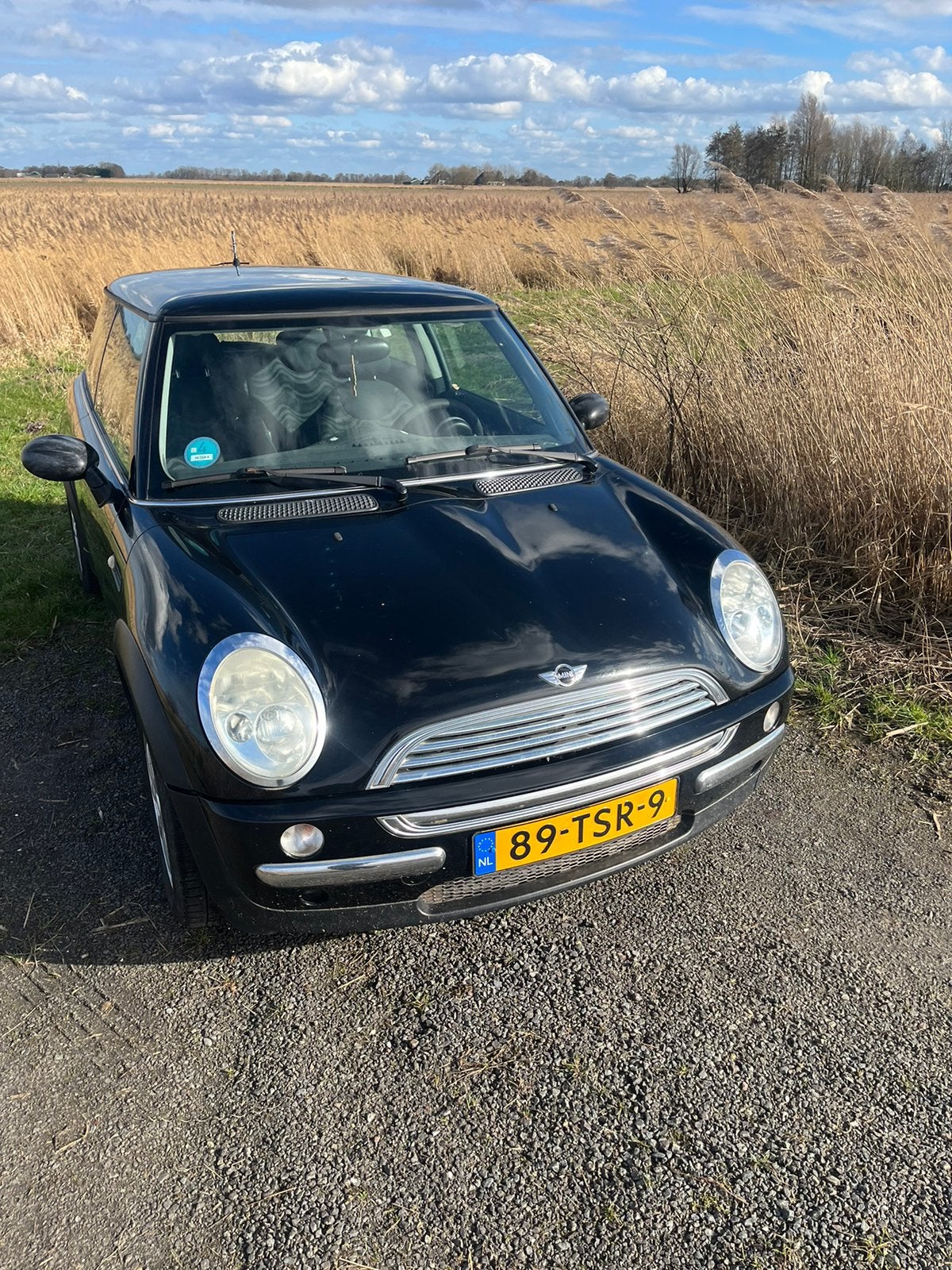 Mini in onderdelen te koop, Ophalen of Verzenden, Mini