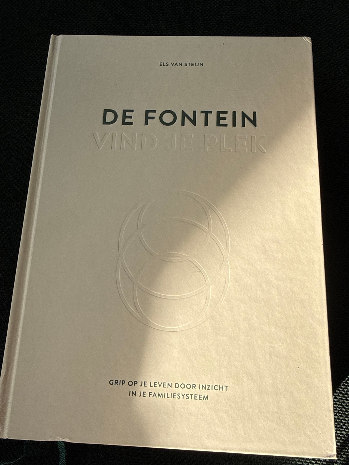 De Fontein: Vind je plek - Els van Steijn, Boeken, Ophalen of Verzenden, Zo goed als nieuw, Overige onderwerpen