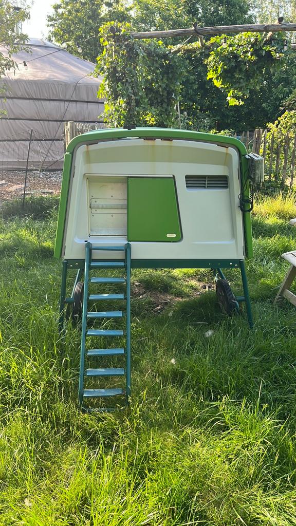 Omlet Eglu Cube kippenhok, Dieren en Toebehoren, Pluimvee | Toebehoren, Ophalen, Gebruikt, Kippenhok of Kippenren