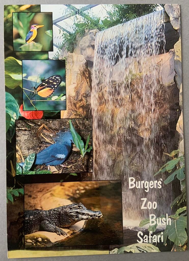 Burgers ZOO Bush Safari, Arnhem, Ophalen of Verzenden, Ongelopen, Gelderland