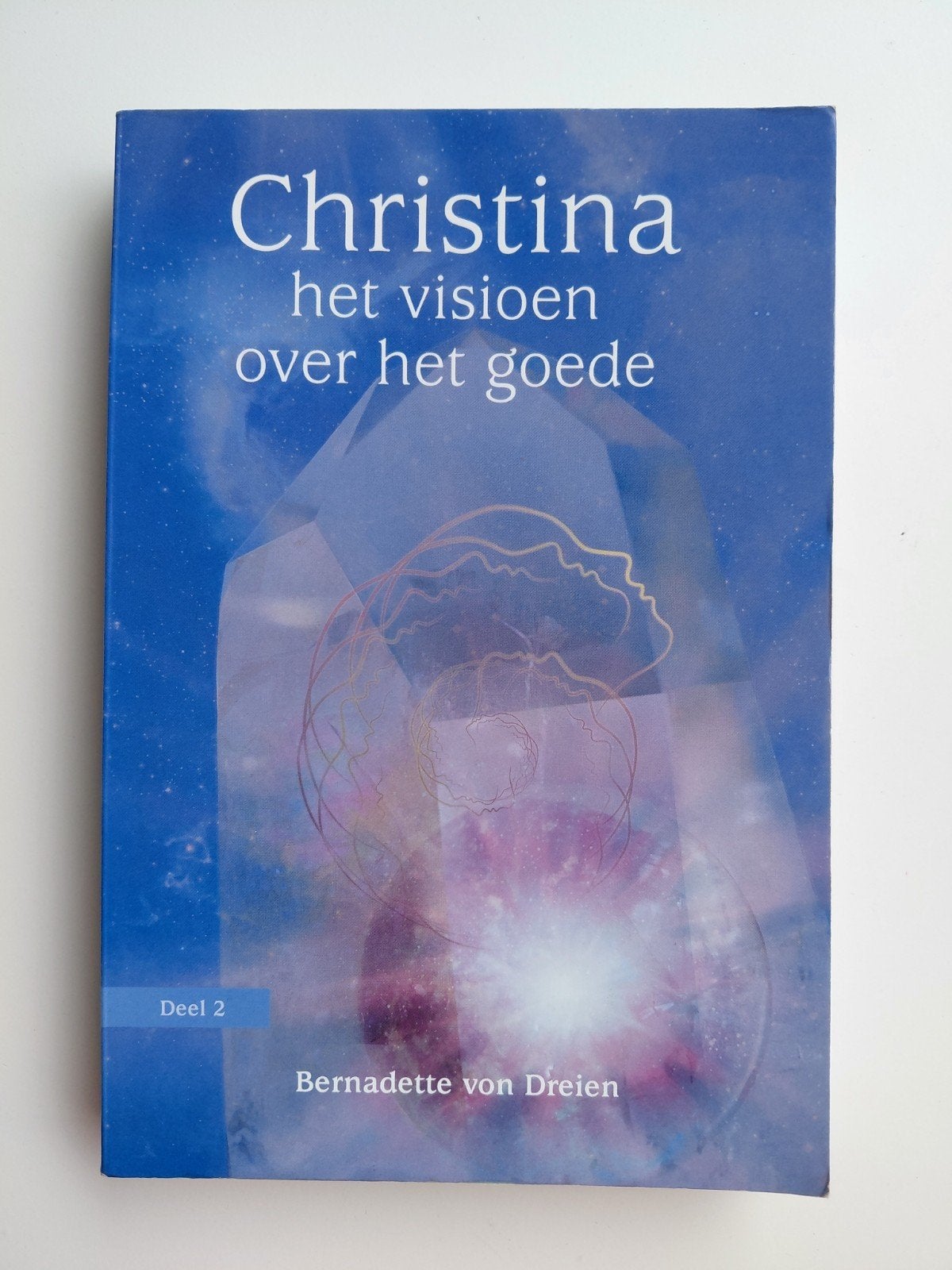 Bernadette von Dreien - Het visioen over het goede, Achtergrond en Informatie, Spiritualiteit algemeen, Ophalen of Verzenden, Zo goed als nieuw