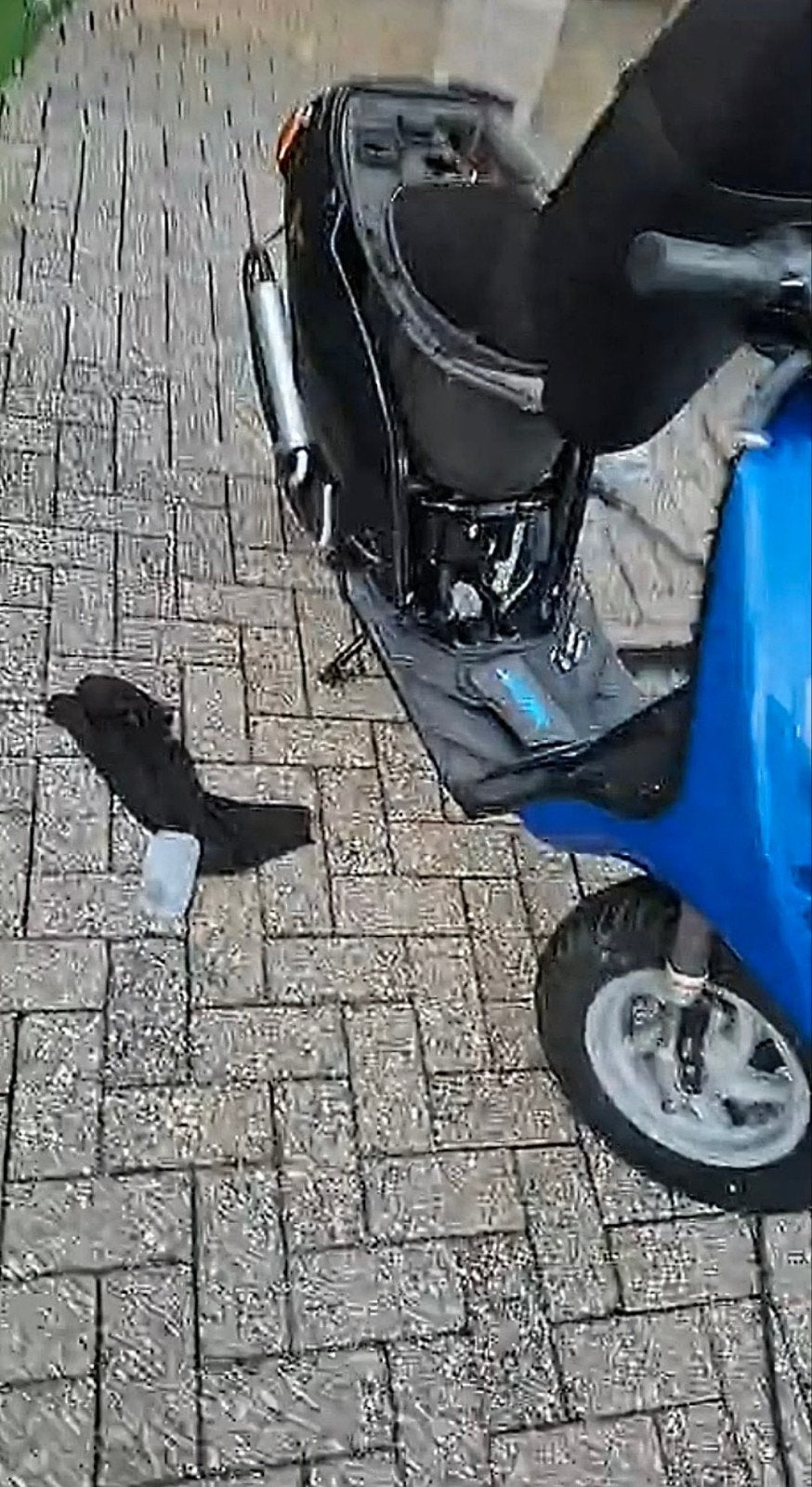 Typhoon 70cc te koop of ruilen tegen Zip project, Ophalen of Verzenden, Gebruikt, Piaggio