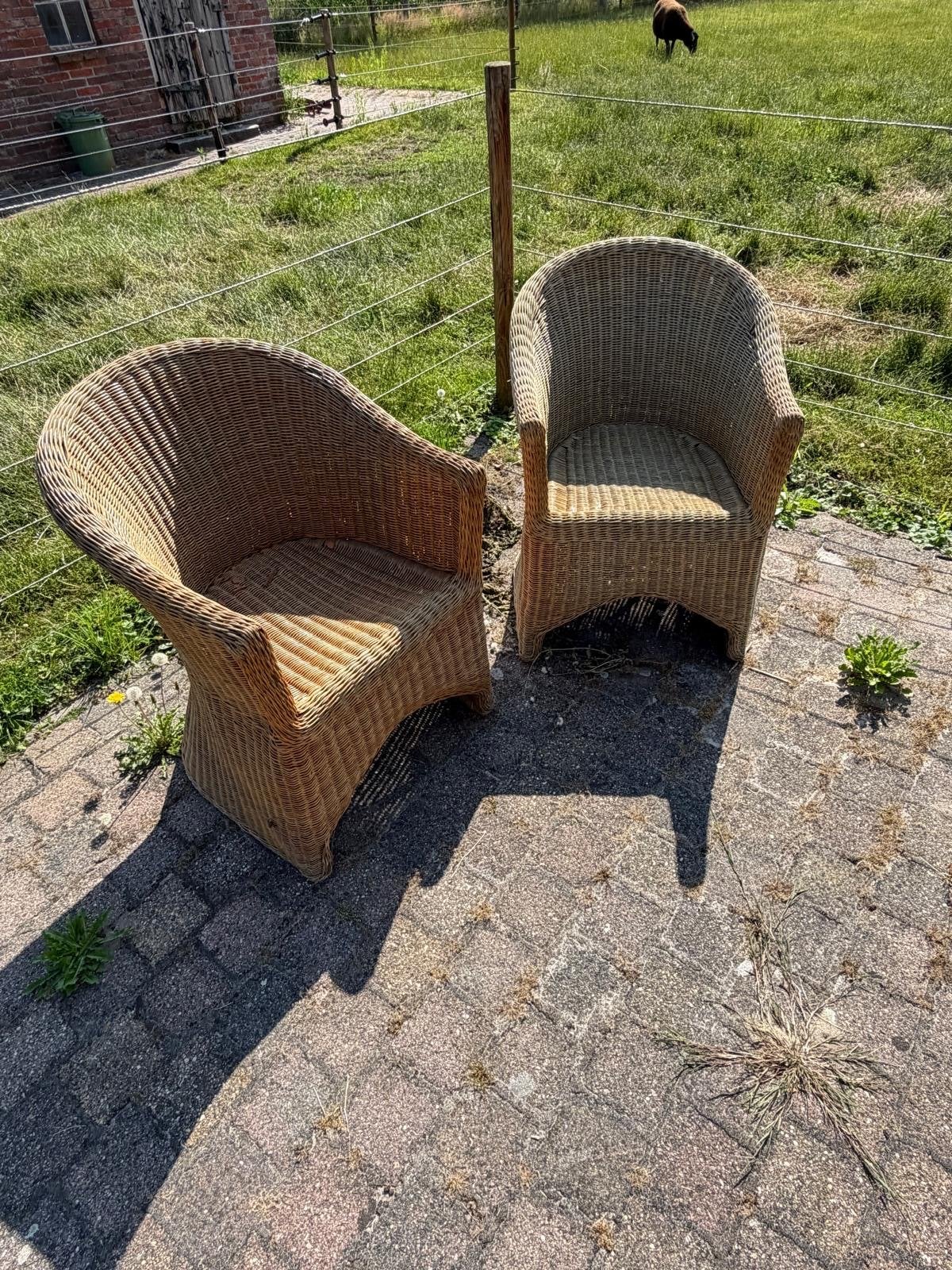 2 rieten stoelen - klaar voor een volgende ronde, Ophalen, Gebruikt, Twee, Bruin