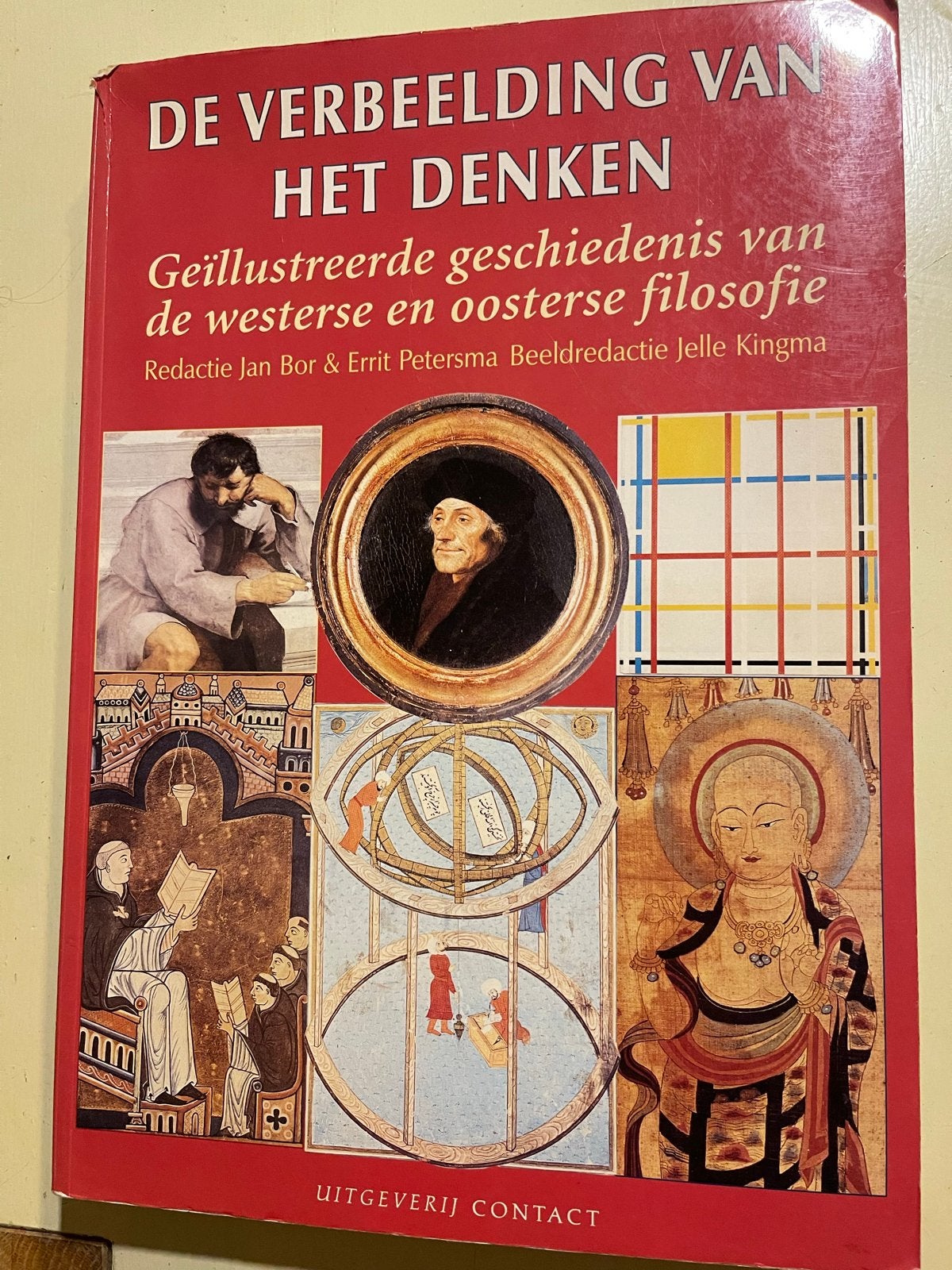 De verbeelding van het denken - Geïllustreerde filosofie, Boeken, Filosofie, Ophalen of Verzenden, Gelezen, Cultuurfilosofie