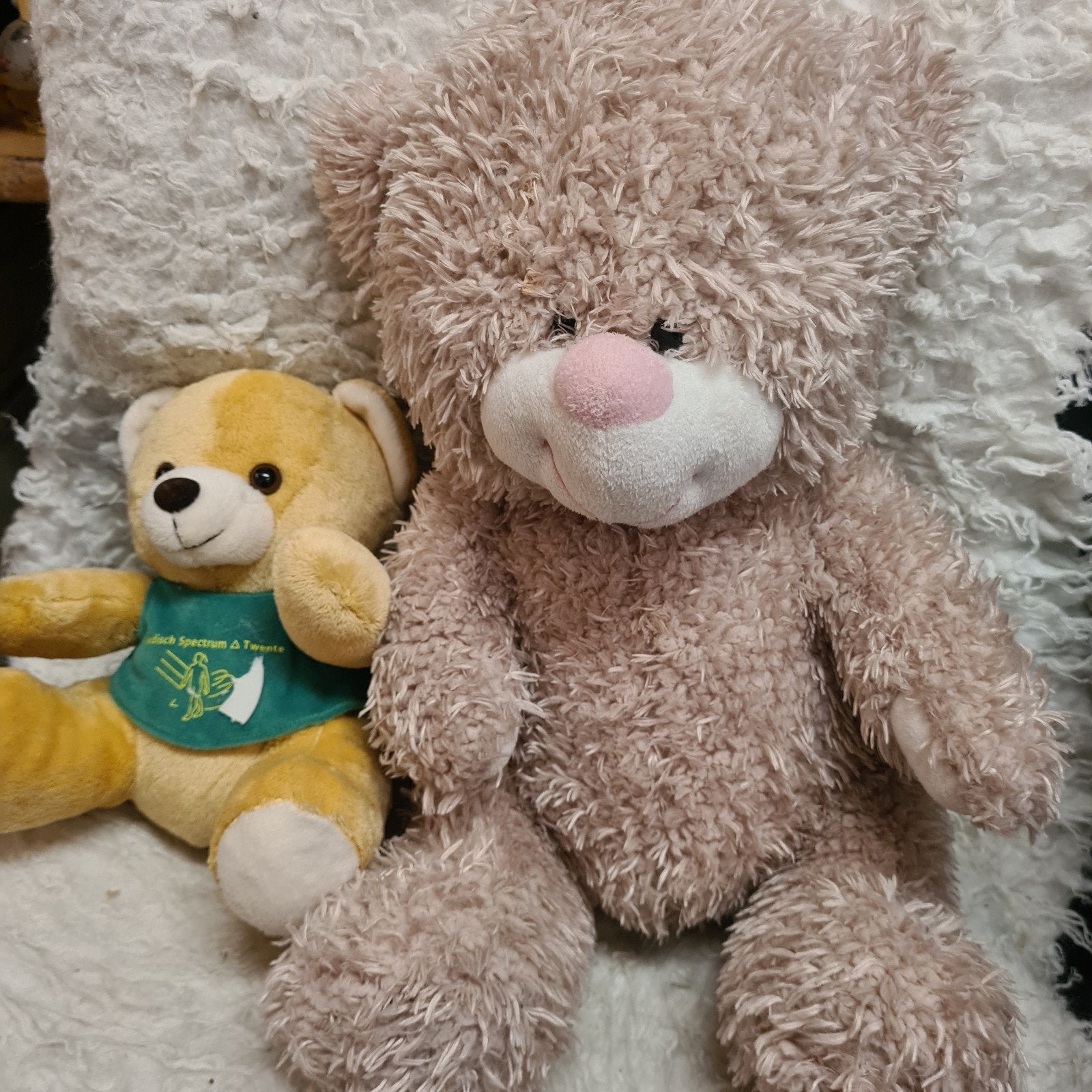 Twee schattige teddyberen - groot en klein, Kinderen en Baby's, Gebruikt, Beer, Ophalen of Verzenden, Middelgroot (20 tot 80 cm)
