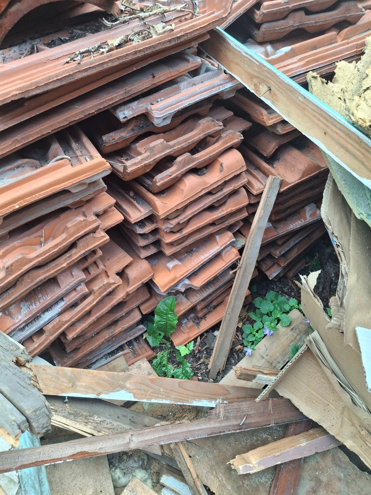 Gratis dakpannen, ongeveer 200 stuks of meer, Gebruikt, Steen of Klei, Ophalen of Verzenden, 15 m² of meer