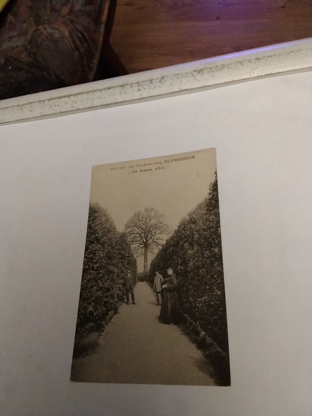 Oude Ansichtkaart: La Grande Allée, BLIJERHEIDE, Ophalen of Verzenden, Voor 1920, Gelopen