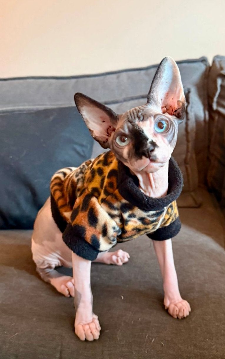 handmade KATTENTRUI Kattenkleding Sphynx Kat Rex Kitten Poes, Dieren en Toebehoren, Ophalen of Verzenden, Nieuw