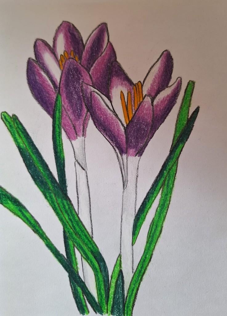 tekening, Ophalen of Verzenden