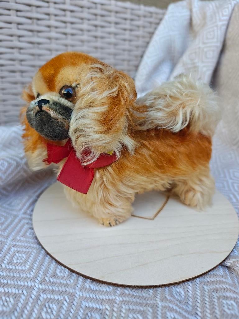 Steiff Pekinees vintage 14 cm knop label originele staat, Ophalen of Verzenden