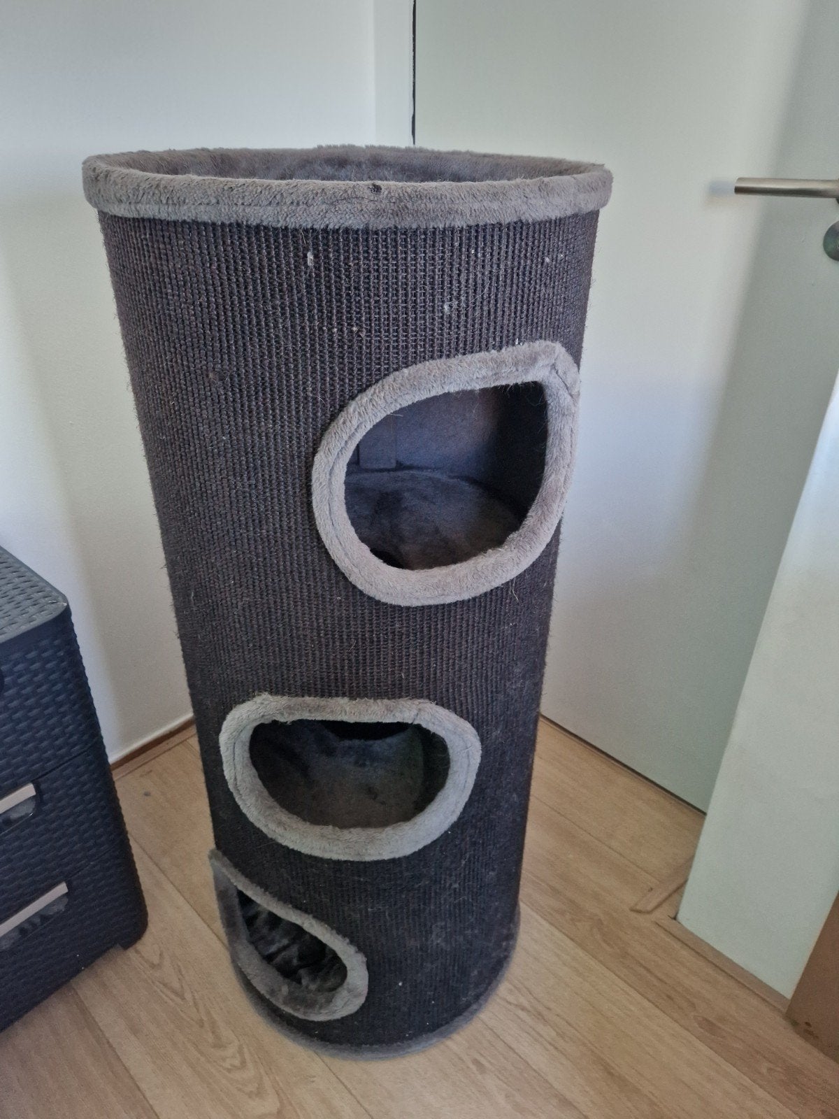 Krabton kat petrebels, Dieren en Toebehoren, Ophalen, Krabton