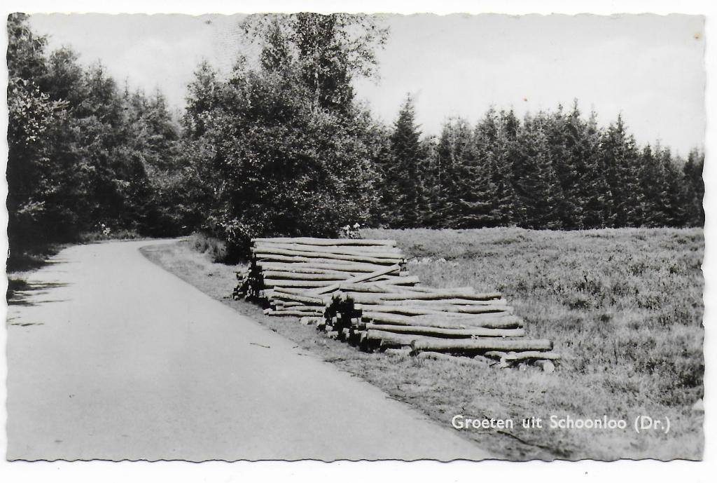 Schoonloo  gelopen Ansichtkaart   (B8328), Ophalen of Verzenden, 1960 tot 1980, Gelopen