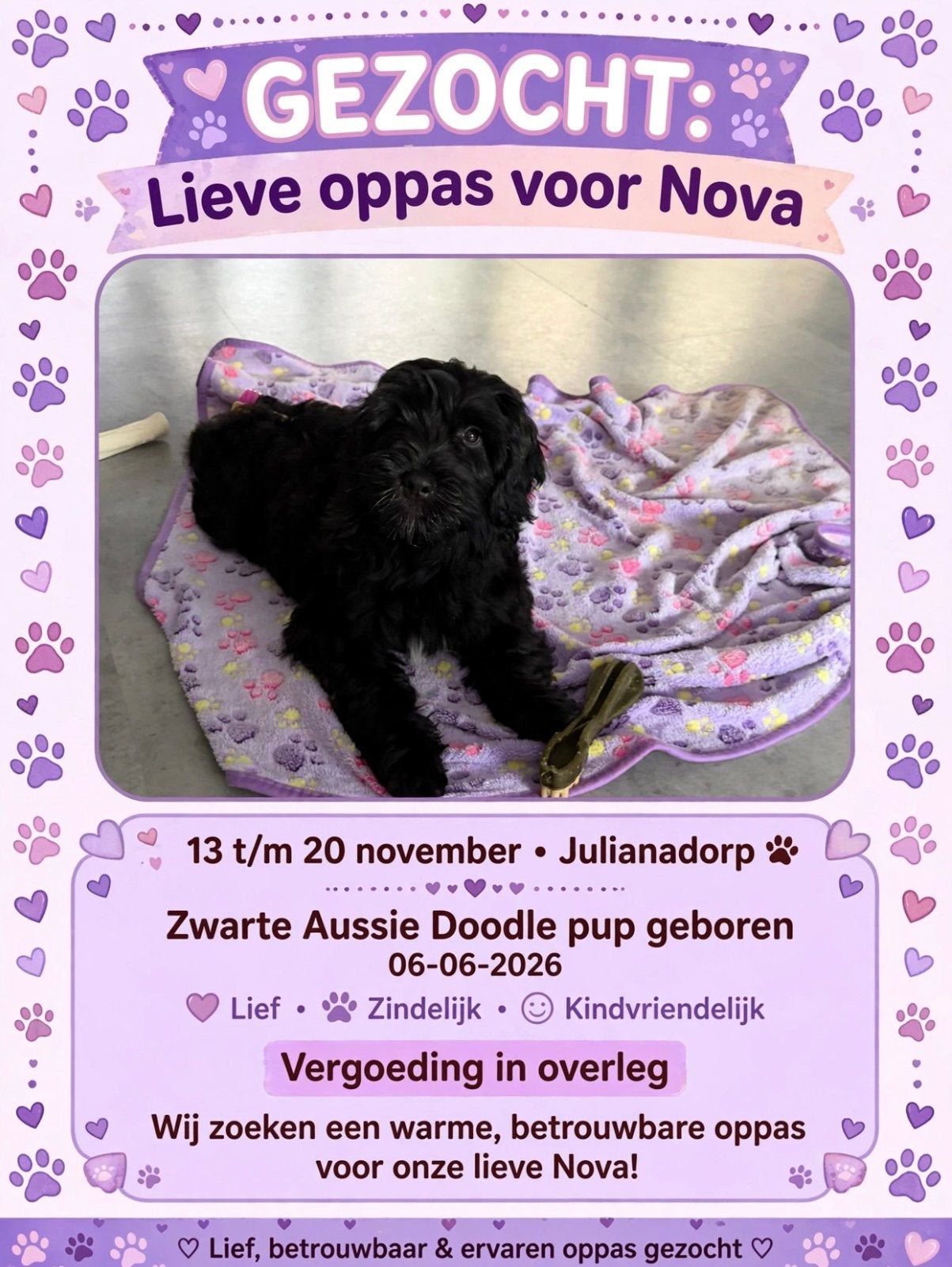 Honden oppas gezocht, Dieren en Toebehoren, Ophalen, Zo goed als nieuw