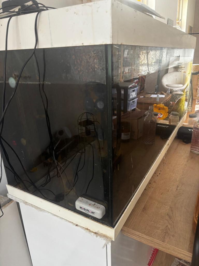 Gratis aquarium met onderkast 450 liter ( goed lezen), Ophalen, Gebruikt, Leeg aquarium, Inclusief vissen