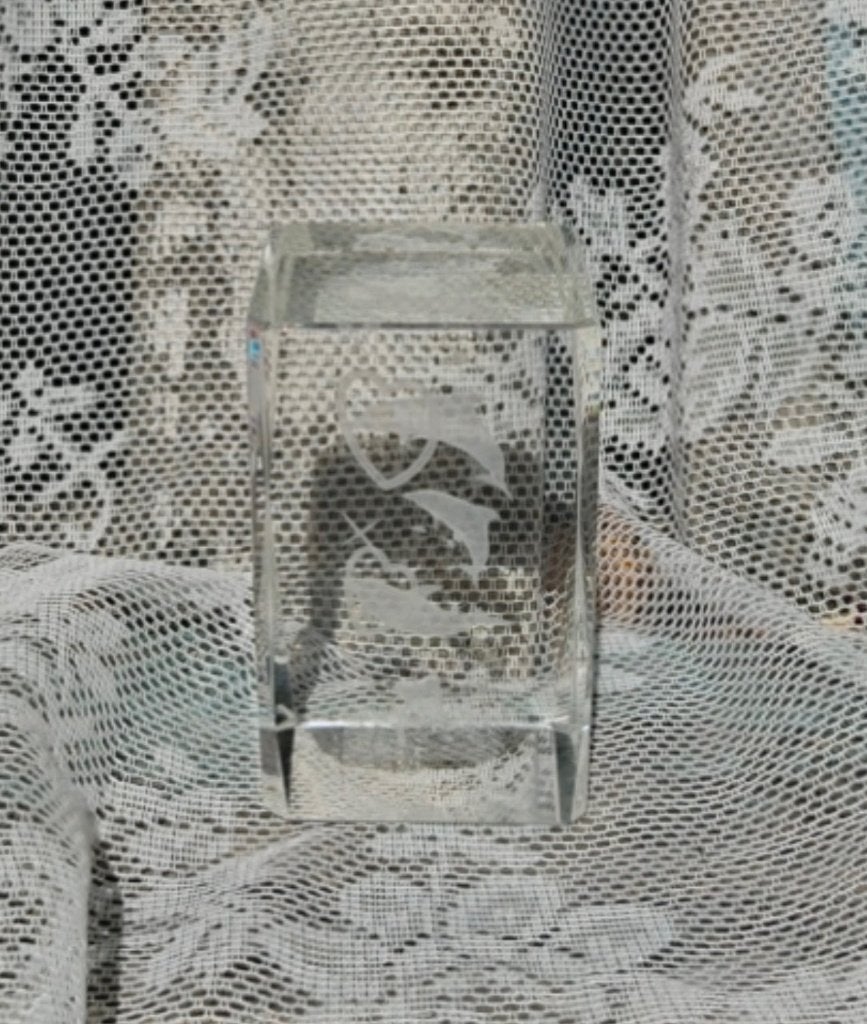 Kristal glas laserblok met 3D afbeelding van Dolfijnen hart, Ophalen of Verzenden, Nieuw, Wild dier, Overige typen
