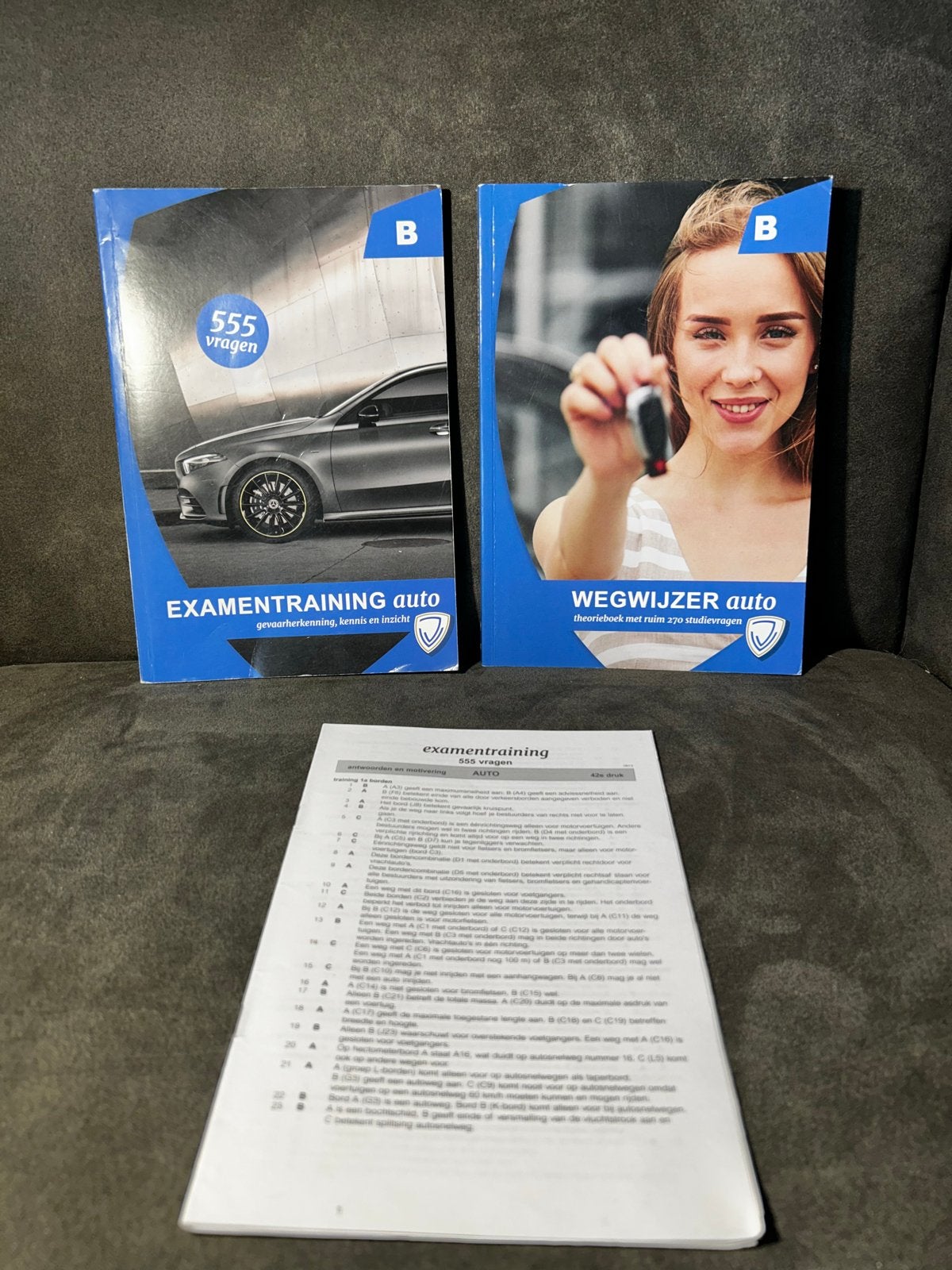 Theorieboeken auto rijbewijs B - Examentraining & Wegwijzer, Boeken, Verzenden, Zo goed als nieuw, Algemeen