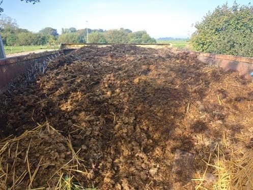 GEZOCHT: Paardenmest in de buurt van Koudum, Tuin en Terras, Ophalen, Mest