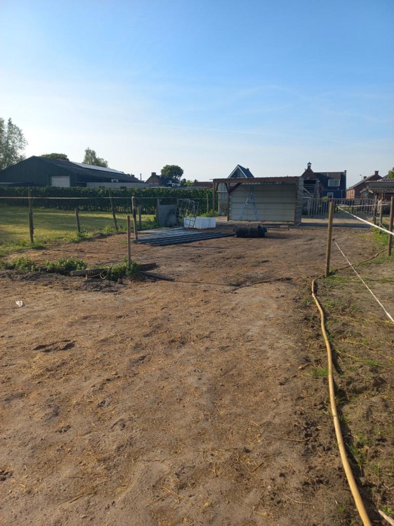 Grote paddock/wei in eigen beheer voor meerdere paarden, Dieren en Toebehoren, Stalling en Weidegang