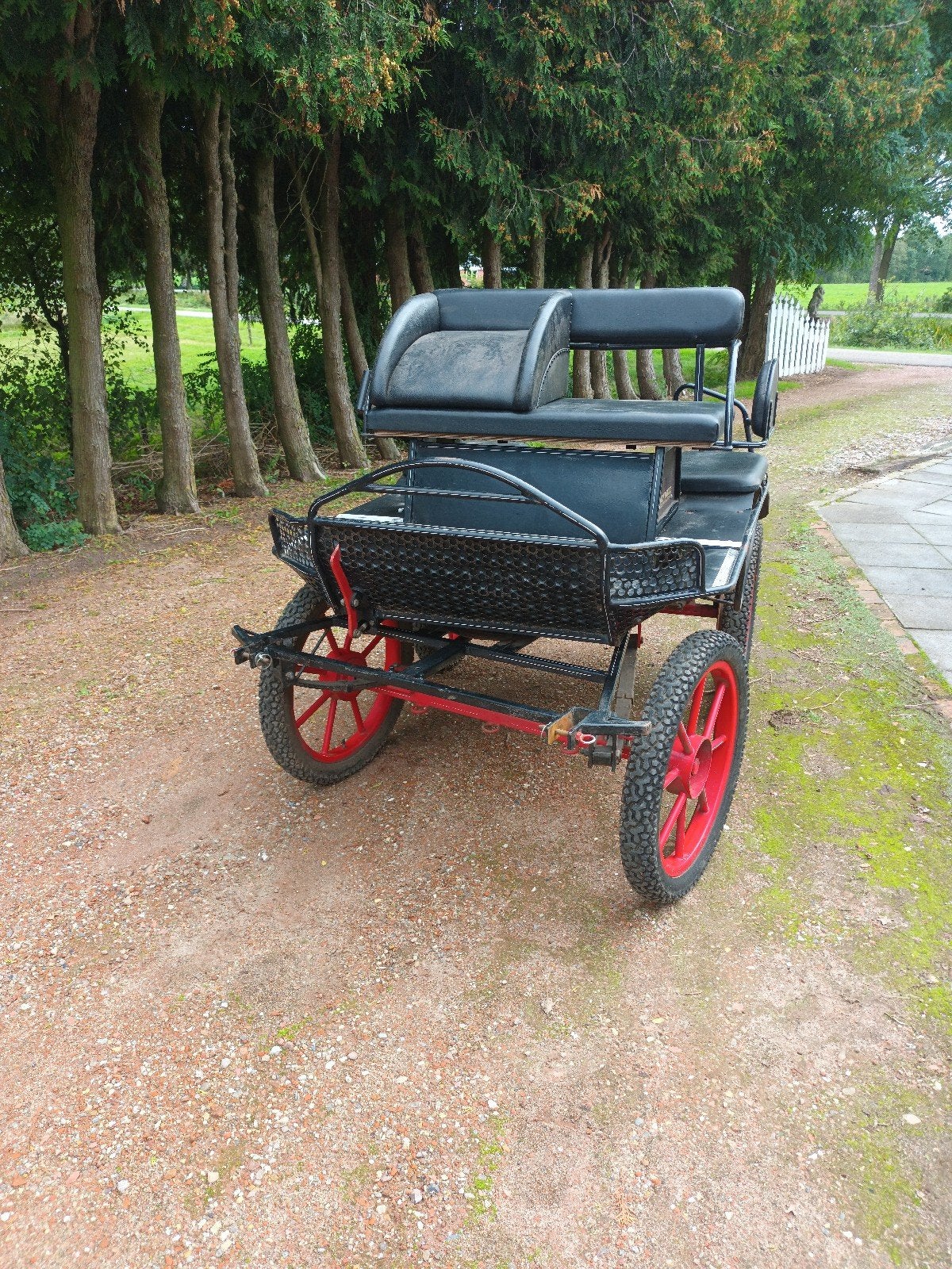 Te koop, Marathonwagen, Paard