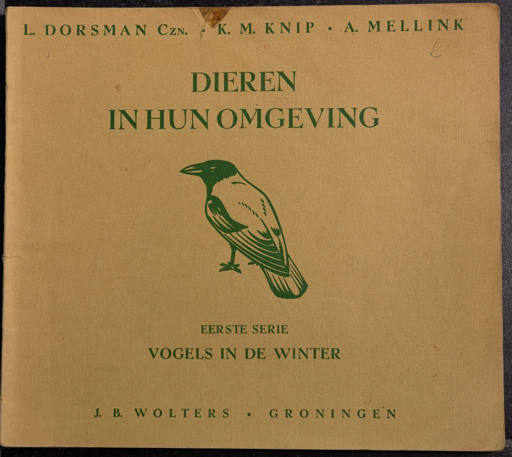 schoolplaat  boekje – Vogels in de winter , Antiek en Kunst, Ophalen of Verzenden, Natuur en Biologie