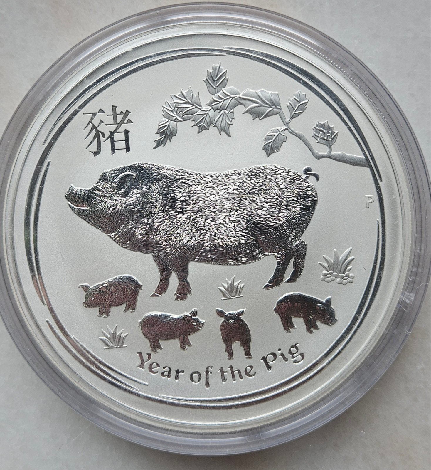 1 kg.lunar 2 year of the pig 2019, Postzegels en Munten, Munten | Oceanië, Ophalen of Verzenden, Zilver
