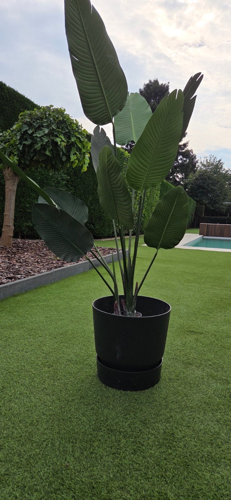 Elho pot met grote kunst Strelitzia plant - Realistische loo, Ophalen, Groen, Met pot of vaas, Kunstplant