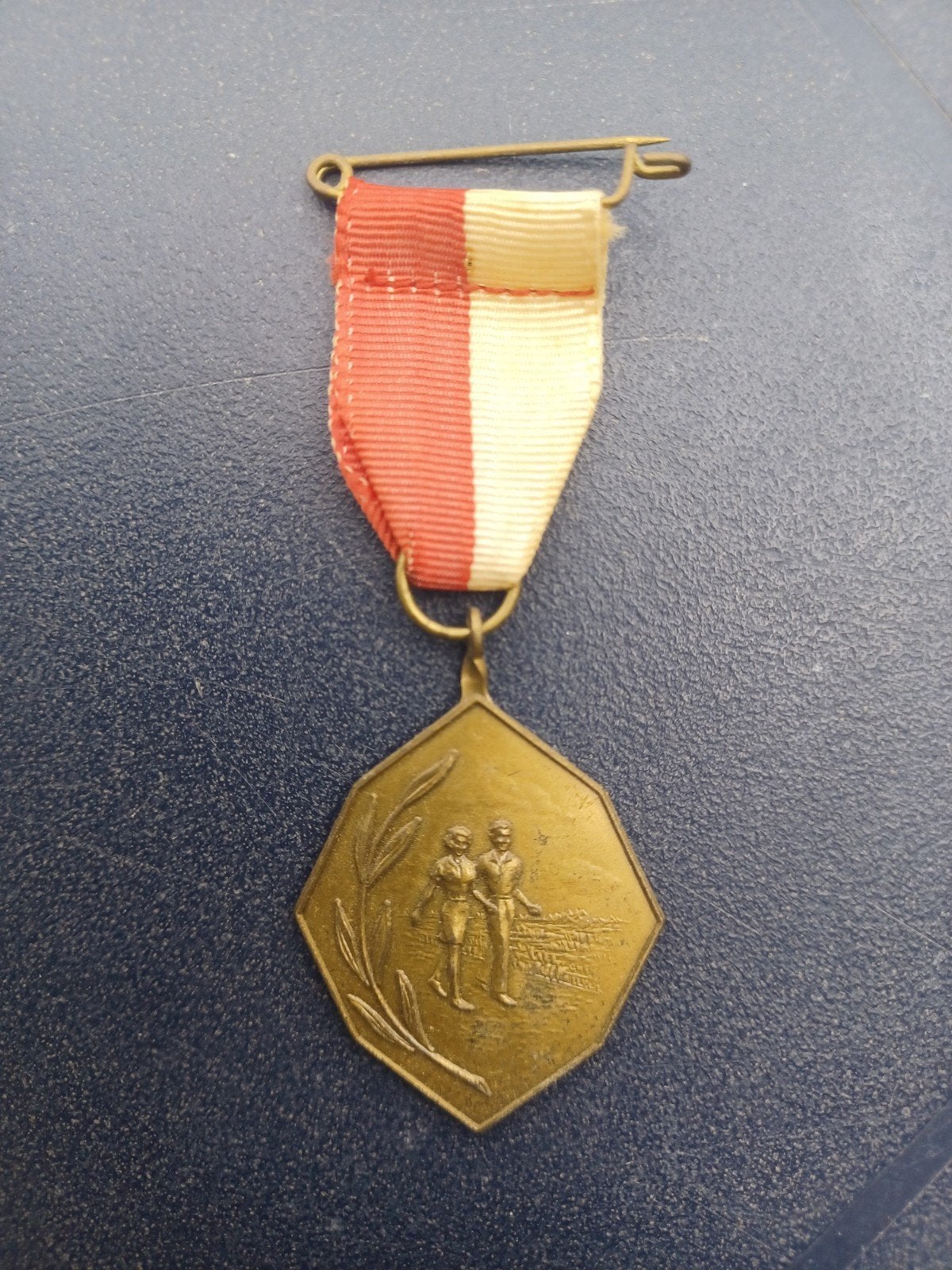 Medaille WSV De Troubadours Loosbroek, Ophalen of Verzenden, Overige materialen, Nederland