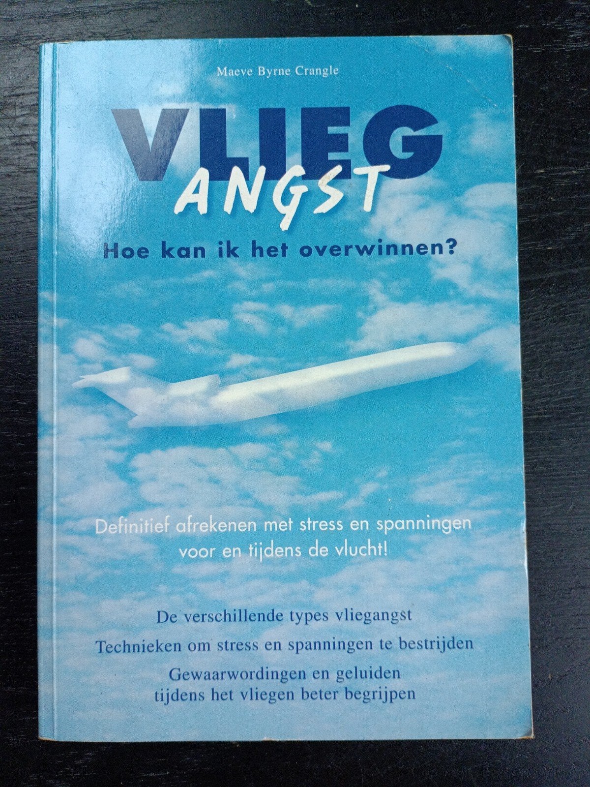 Vliegangst: Hoe kan ik het overwinnen? Maeve Byrne Crangle, Boeken, Ophalen of Verzenden, Gelezen, Maeve Byrne Crangle, Europa overig