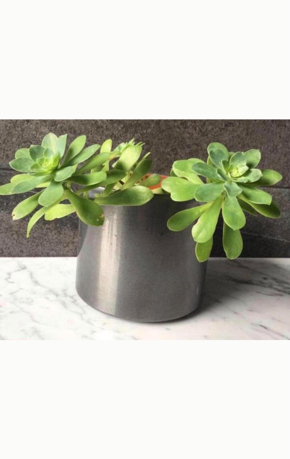 Stijlvolle vintage keramische grijze bloempot, 13,5x16cm, Ophalen, Rond, Binnen, Zo goed als nieuw
