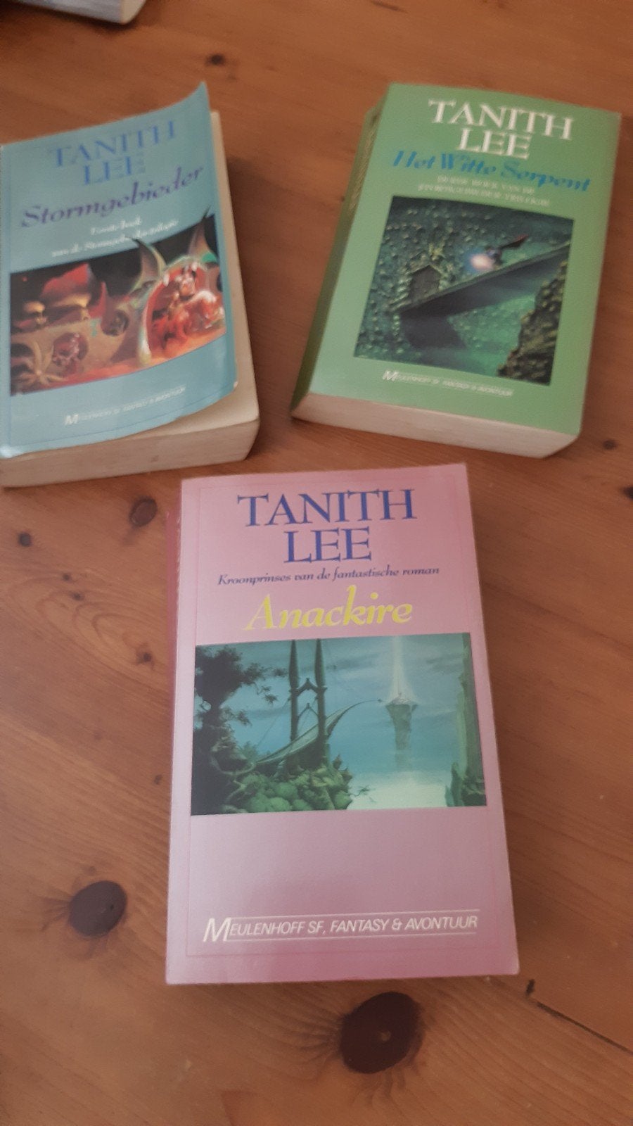 3 boeken van Tanith Lee samen 5 euro, Ophalen of Verzenden, Gelezen, Tanith Lee