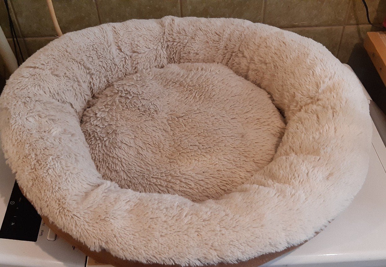 Kattenmandje, goede staat, Ophalen, Zo goed als nieuw, Overige kleuren, Minder dan 80 cm