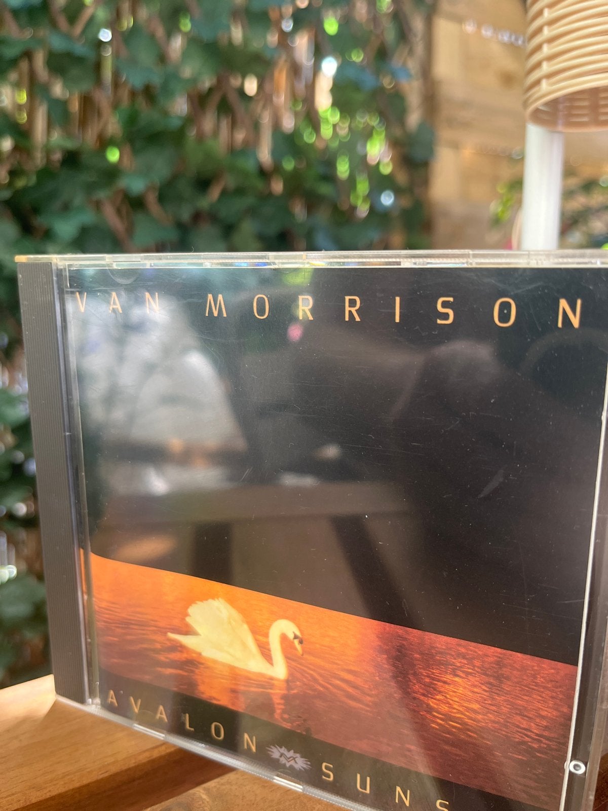 Van Morrison - Avalon Sunset CD, Ophalen of Verzenden, Zo goed als nieuw, Folk