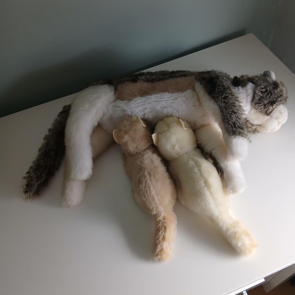 Poes met 2 kittens, Ophalen of Verzenden, Zo goed als nieuw