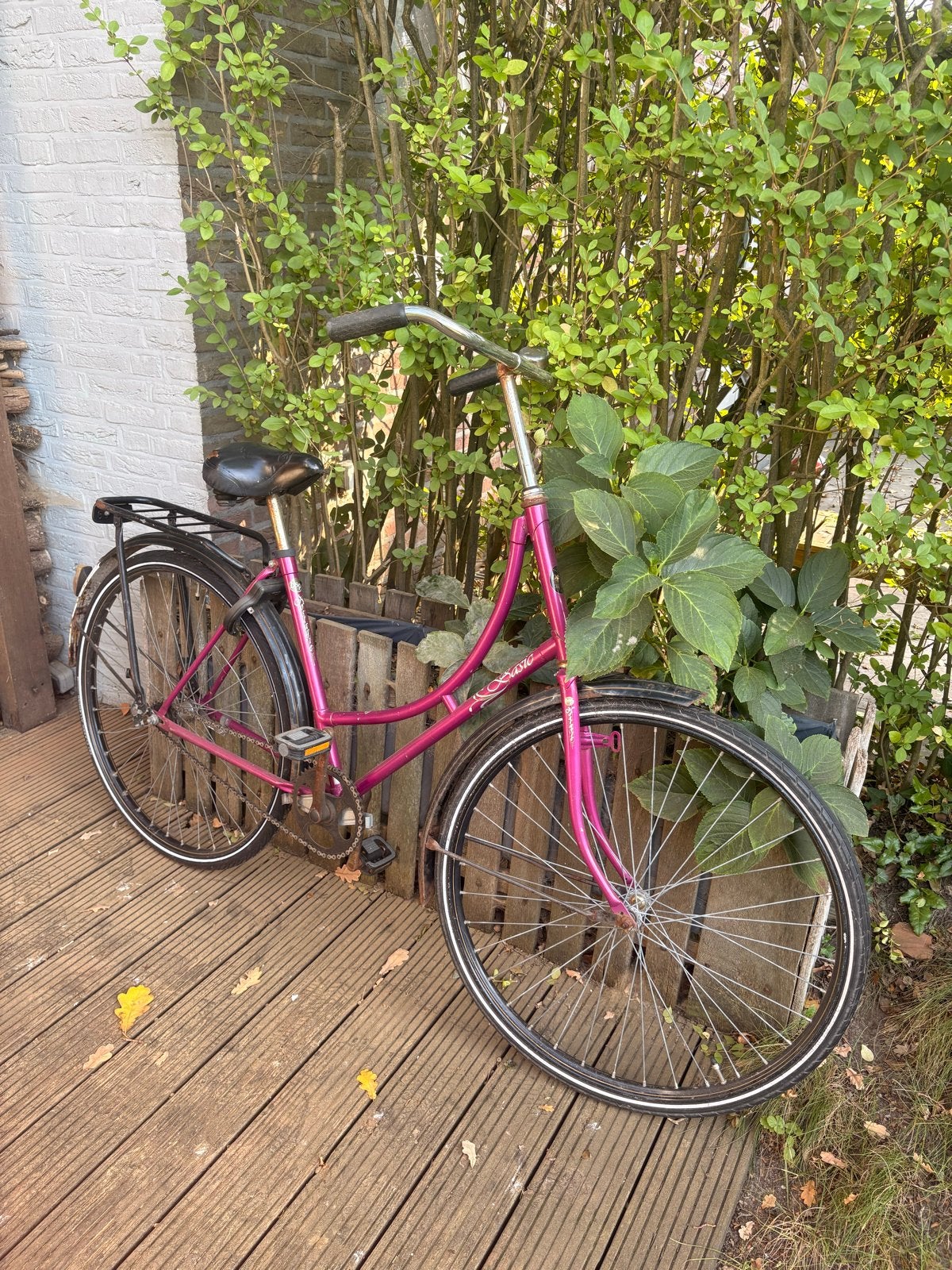 Roze Omafiets, Terugtraprem, Ophalen, Overige merken, 53 tot 56 cm