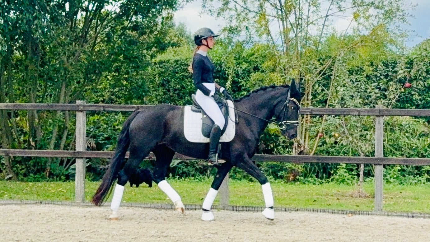 Super mooie talentvolle sport pony, Dieren en Toebehoren, Paarden, Merrie, Minder dan 160 cm, Dressuurpaard, 7 tot 10 jaar