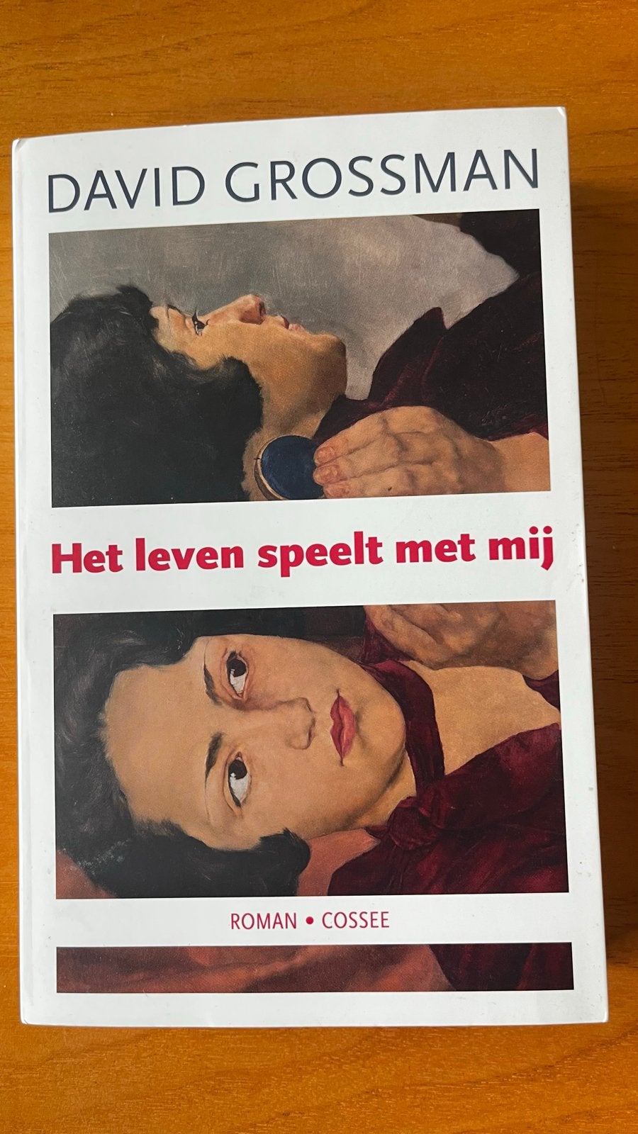 Het leven speelt met mij - David Grossman (Roman), Ophalen of Verzenden, Zo goed als nieuw