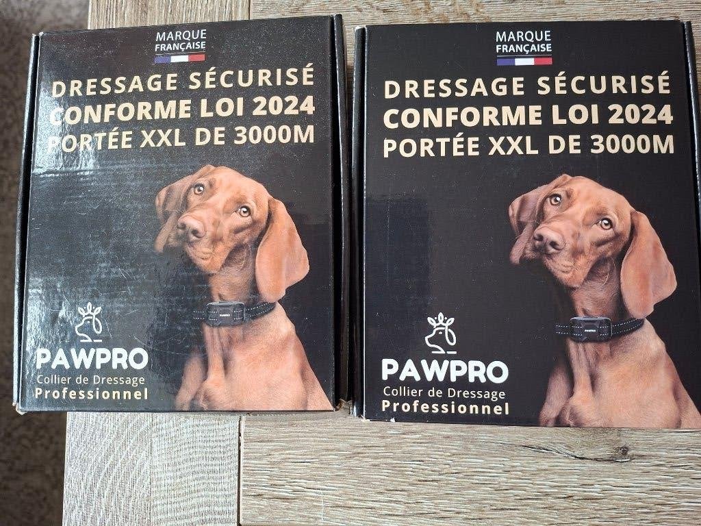 Trainingsband honden, Ophalen of Verzenden, Nieuw, Hondenriem