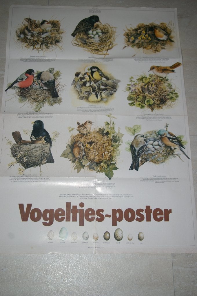 Vogeltjes-poster van Marjolein Bastin uit 981, Ophalen of Verzenden, Zo goed als nieuw, A1 t/m A3, Dier of Natuur