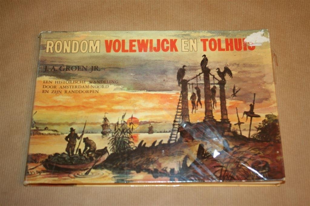 Rondom Volewijck en Tolhuis - Amsterdam-Noord en randorpen, Boeken, Ophalen of Verzenden, Gelezen