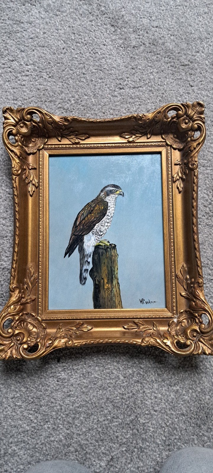 Schilderij Havik - Olieverf op paneel - Gesigneerd, Antiek en Kunst, Ophalen of Verzenden