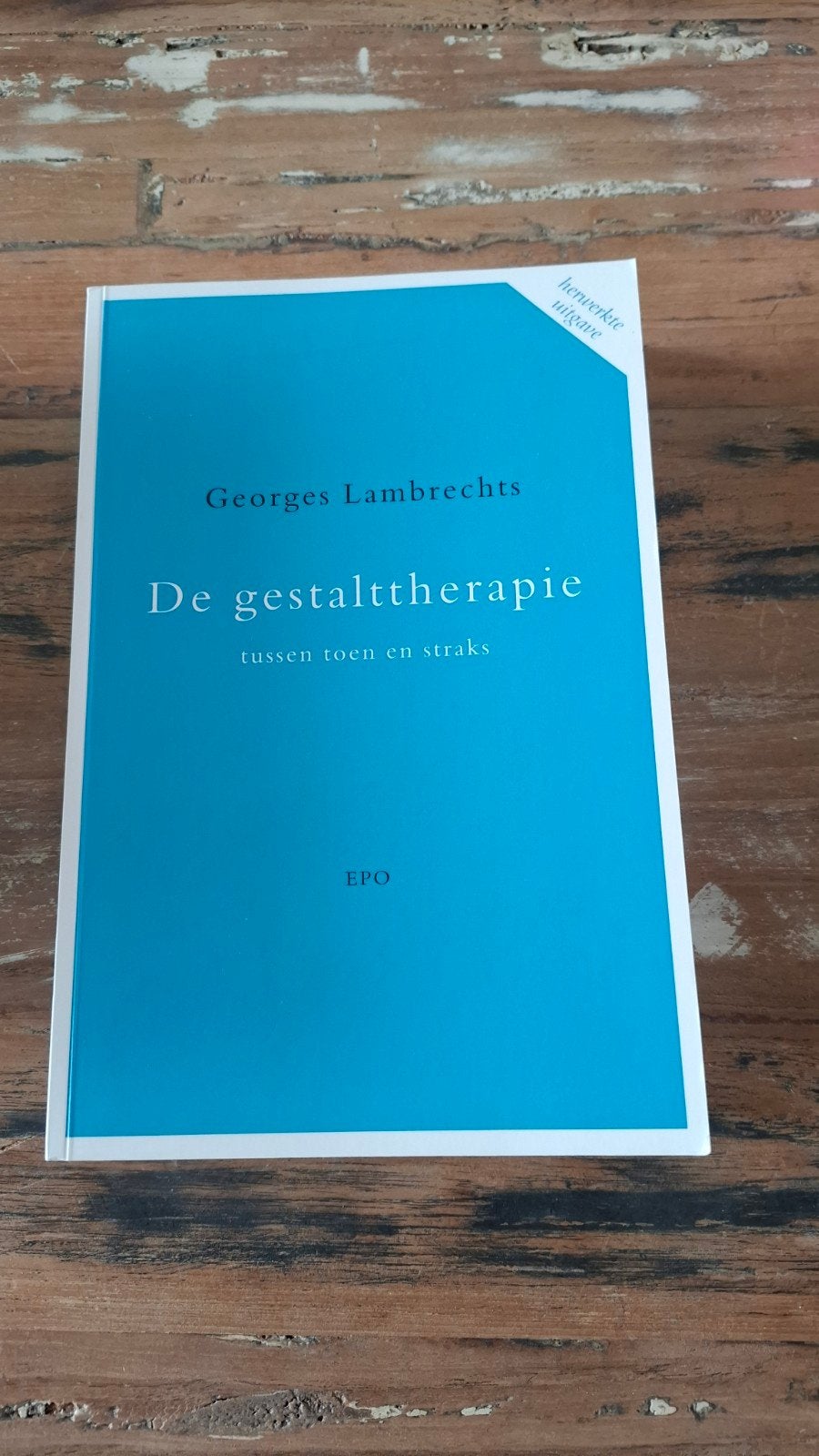 G. Lambrechts - De gestalttherapie tussen toen en straks, Boeken, Ophalen of Verzenden, G. Lambrechts, Ontwikkelingspsychologie