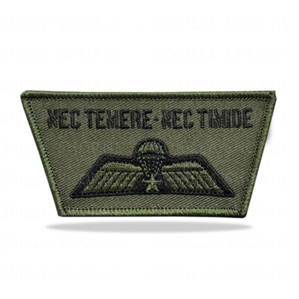 Para Wings (patches), Ophalen of Verzenden, Landmacht, Nederland, Embleem of Badge