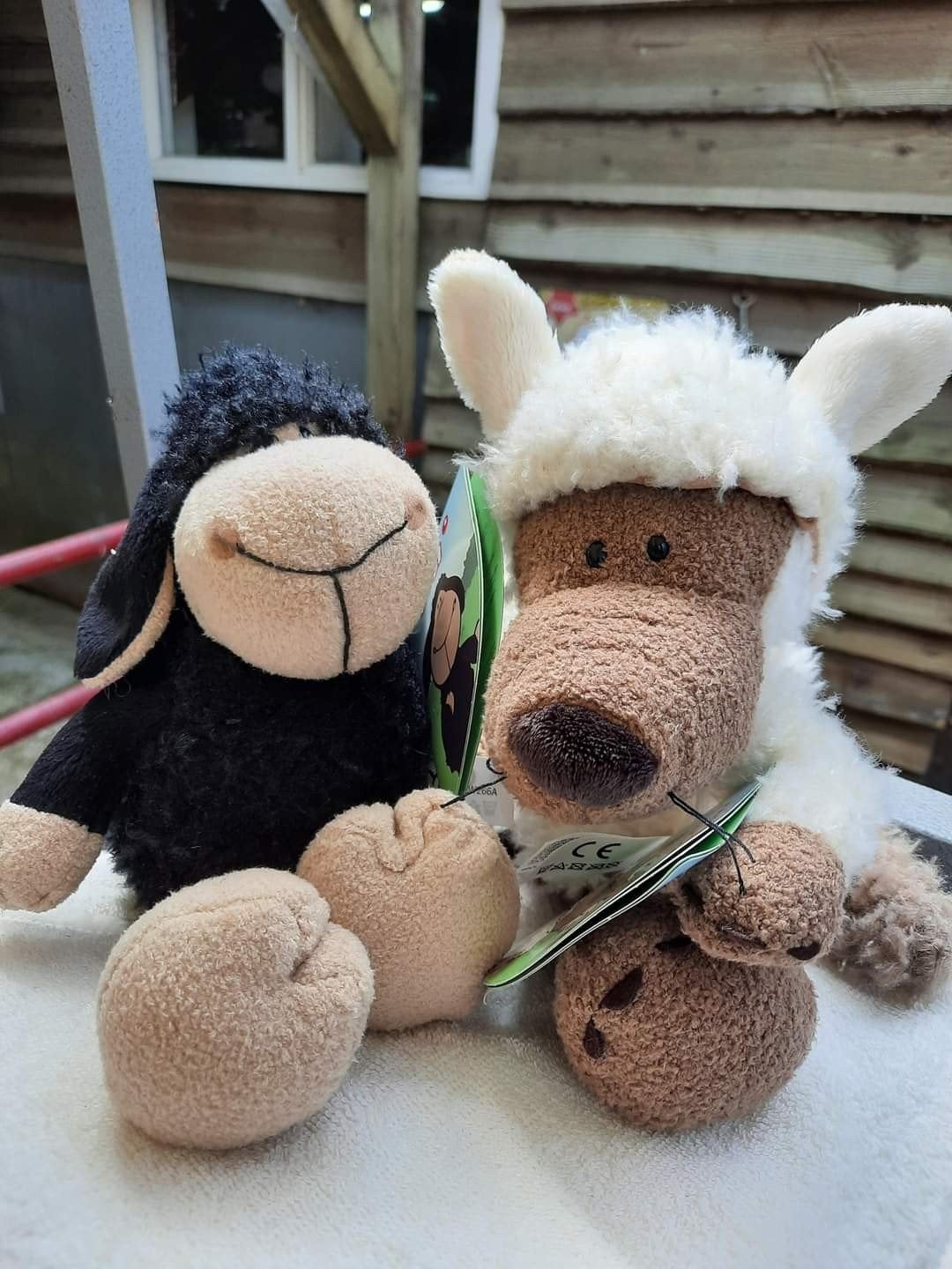 Nici Schaap en Wolf Knuffels - Nieuw met kaartjes, Ophalen, NICI, Overige karakters, Overige typen